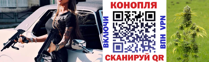 Купить закладки  Нижний Ломов  Канабис VHQ 